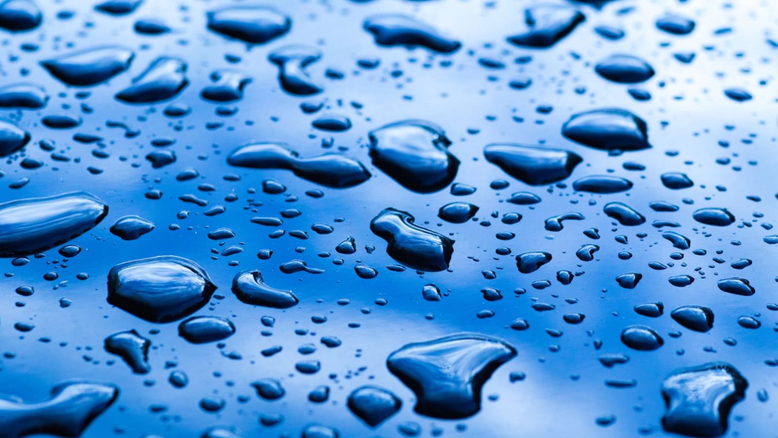 acid rain spots